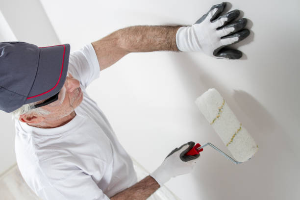 Mold Documentation for Insurance Claims in Hampshire, IL