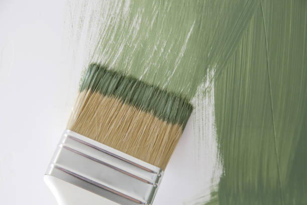  Hampshire, IL Mold Removal Pros