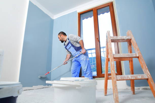 Best Real Estate Mold Inspection  in Hampshire, IL