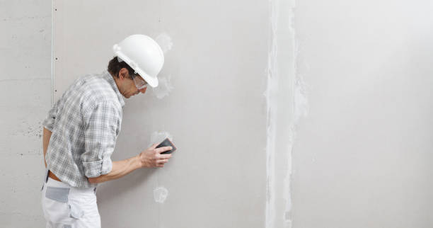 Best Basement Mold Removal  in Hampshire, IL