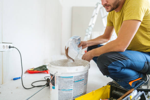 Best Dehumidification Services  in Hampshire, IL