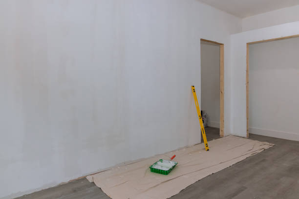 Best Commercial Mold Inspection  in Hampshire, IL