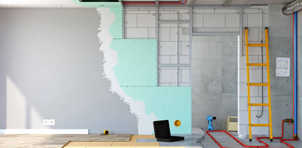 Best Industrial Mold Remediation  in Hampshire, IL