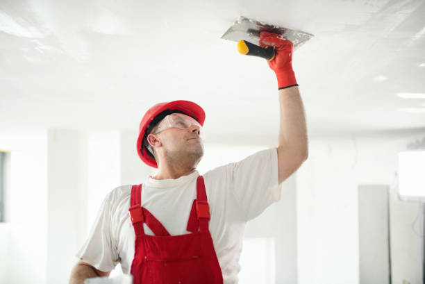 Best Mold Removal for HVAC Installations  in Hampshire, IL