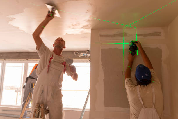 Best Black Mold Removal  in Hampshire, IL