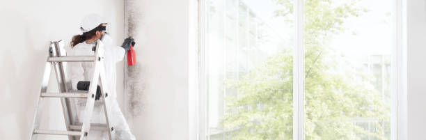 Best Residential Mold Inspection & Testing  in Hampshire, IL