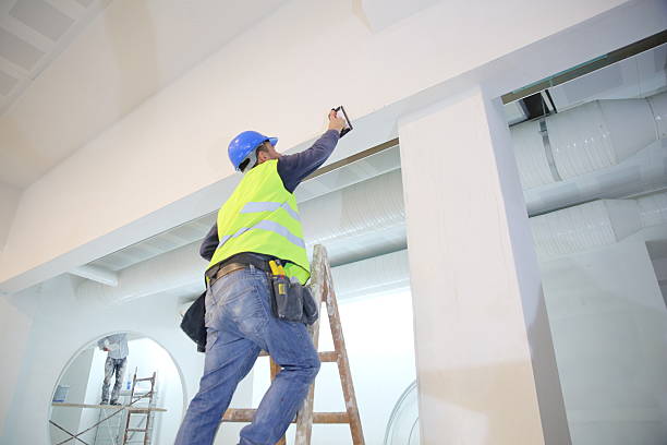 Best Mold Damage Restoration  in Hampshire, IL